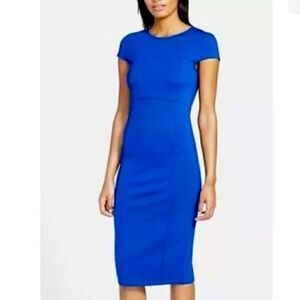 Felicity & Coco NWT Seamed Pencil Blue PL Cobalt Dress